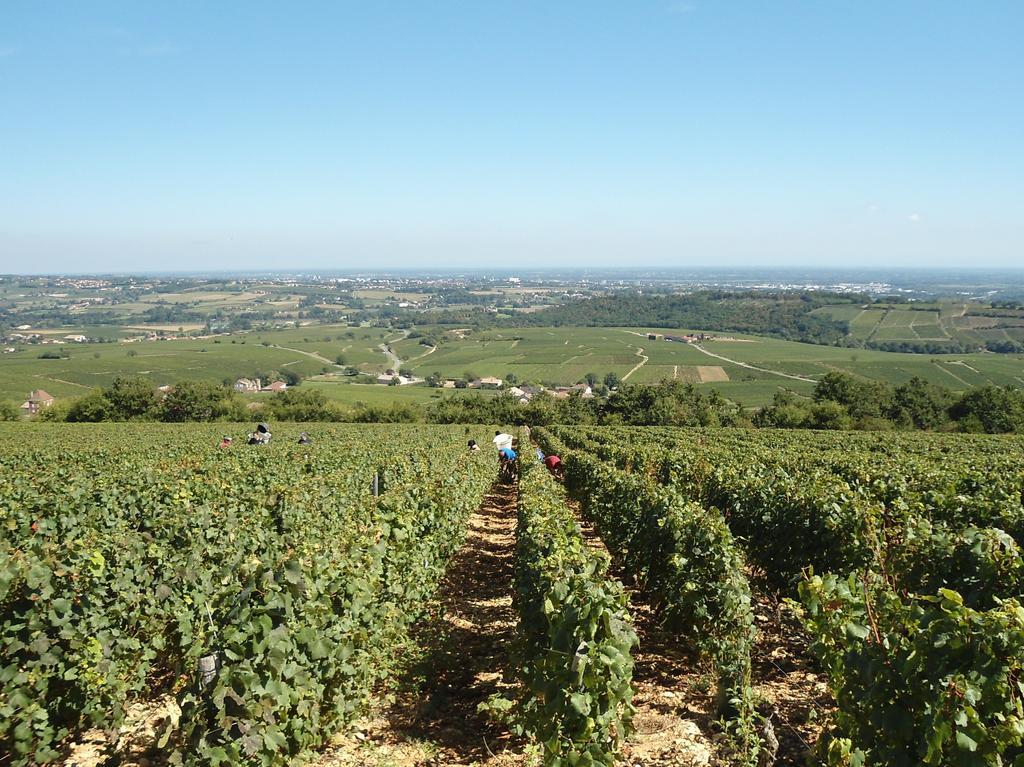 Le Haut De Collonge Vila Saint-Boil Exterior foto
